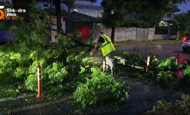 FOTO – Situata e motit në Shkodër, reshjet e dendura dhe stuhia rrëzojnë disa pemë në qytet…