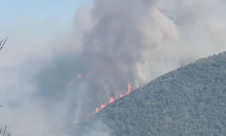 FOTO+VD/ Zjarri në fshatin Hoshtimë del jashtë kontrollit, ndërhyn helikopteri i FA-ve