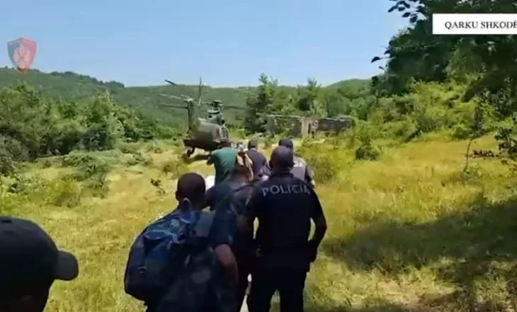 Gjenden mbi 19 mijë bimë kanabis në qarkun e Shkodrës, procedohen dy shtetas