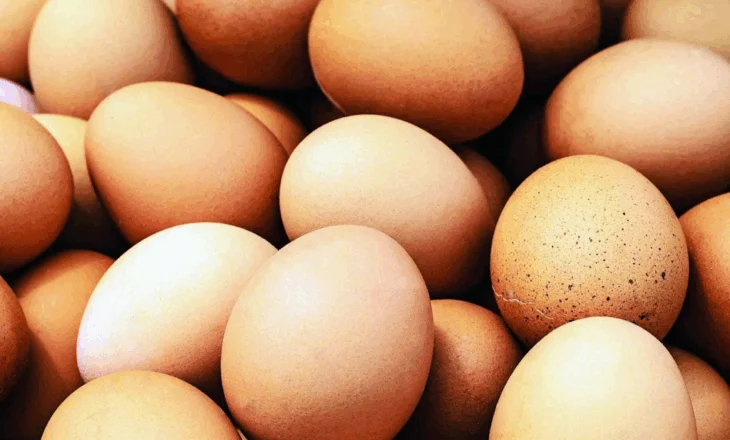 Infeksion nga salmonela, 1.7 milion vezë tërhiqen nga tregu në SHBA