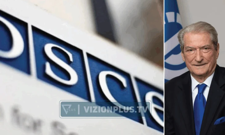 “Kërcënuan vëzhguesit”, OSBE-ODIHR përgënjeshtron Sali Berishën: Nuk është e vërtetë