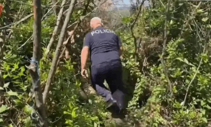 Kontrolle nga toka dhe ajri për kanabis, zbulohet plantacioni