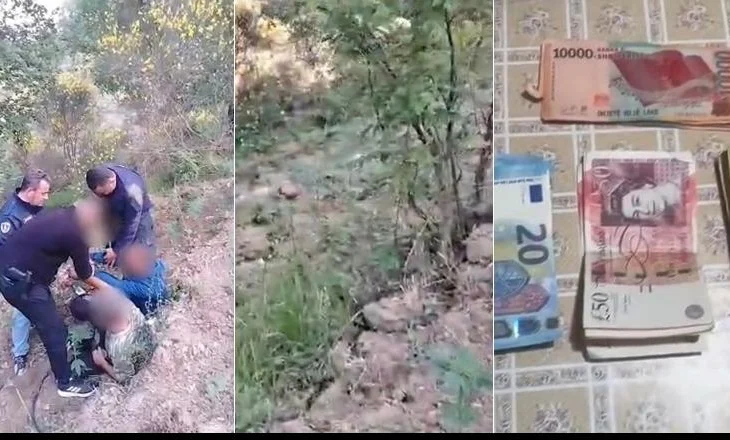 ‘Koordinata’ zbulon parcelën me 1881 fidanë në Mallakastër, arrestohen 2 persona! Nën akuzë kryeplaku dhe i dyshuari si financues