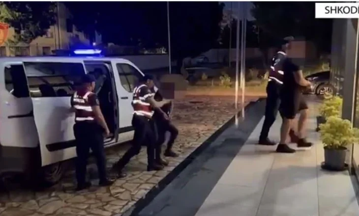 Kultivuan 400 bimë narkotike, arrest në burg për dy vëllezërit në Shkodër