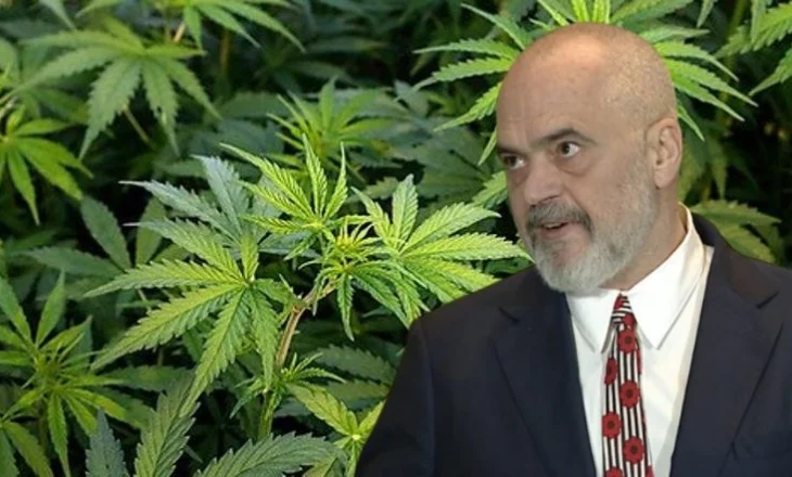 Legalizimi i kanabisit në Shqipëri, ligj i ri, rreziqe të vjetra