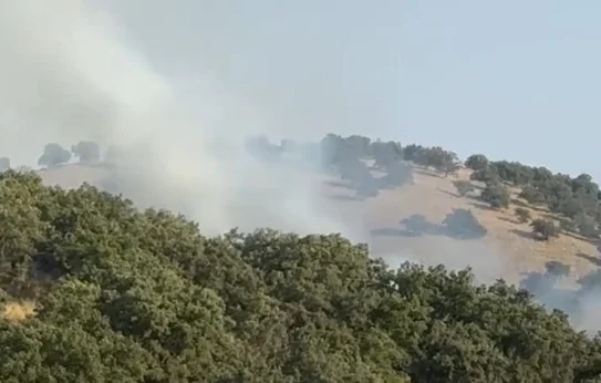 Lokalizohen flakët në Pilur, raportohet për vetëm një vatër aktive