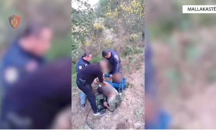 Mallakastër – Zbulohet dhe asgjësohet parcelë me 1881 fidanë kanabis, arrestohen 2 persona dhe procedohen penalisht 2 të tjerë