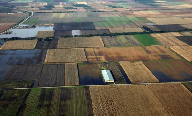 Mashtroi me fondet për bujqësinë/ BE-ja gjobit Greqinë me 400 milionë euro