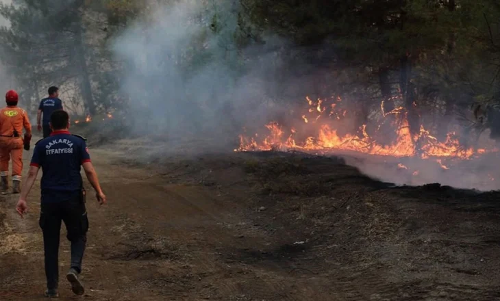 Mbi 50 mijë të evakuuar nga shtëpitë e tyre për shkak të zjarreve në Turqi, era favorizon flakët, 1 mijë zjarrfikës në terren