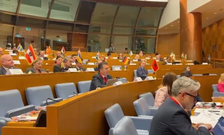 Mediu në konferencën e OSBE: Krimi i organizuar ka kapur shtetin shqiptar