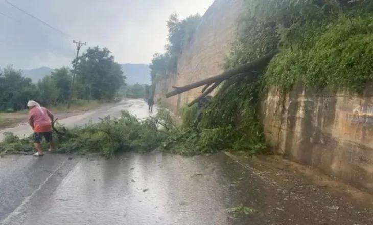 Mot i keq, era e fortë rrëzon pemët në rrugë