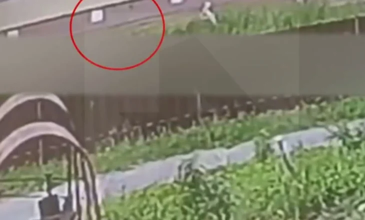 Ndodh mrekullia! Foshnja shpëton pasi e hedhin nga dritarja e ndërtesës
