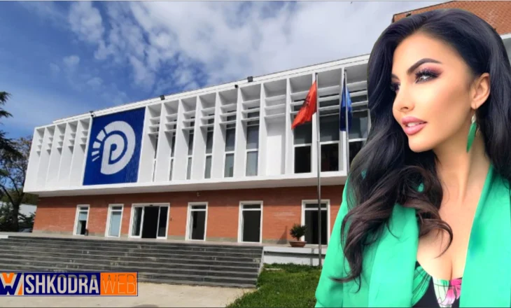 NGA MIMOZA REXHVELAJ – A e dini çfarë po e dëmton Partinë Demokratike sot…?