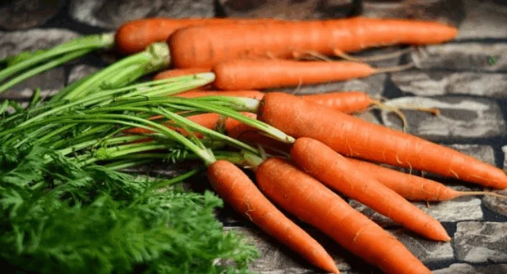 Nga shikimi tek zema, ja përfitimet e trupit nëse konsumoni karrotë