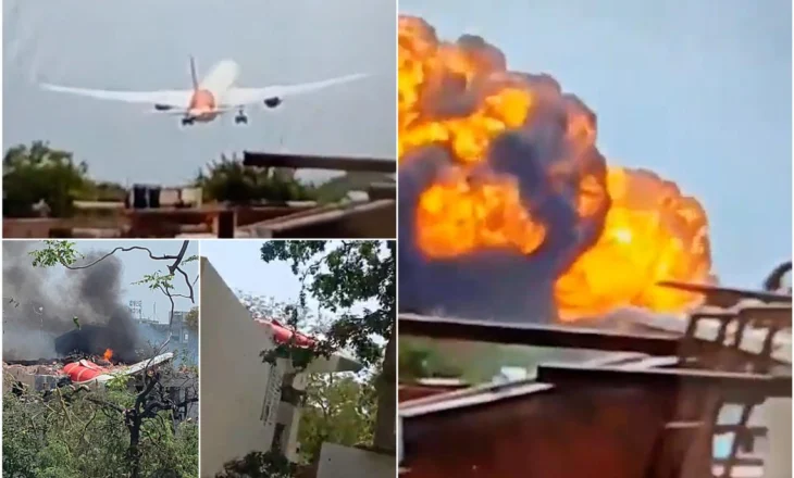 Nga zogjtë te gabimi i pilotit, gjashtë pista hetimi që janë ngritur për rënien e avionit në Indi