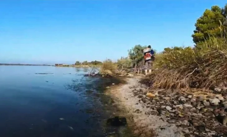 Nis procesi i dezinsektimit në Lezhë, përfshihen dhe zonat turistike të Shëngjinit