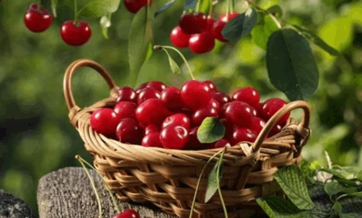 Njihuni me vlerat ushqyese të qershive