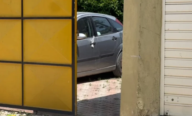 Nxori pistoletën për të vrarë qenin, por plumbat kapën çiftin. Detaje nga plagosjet në Gosë