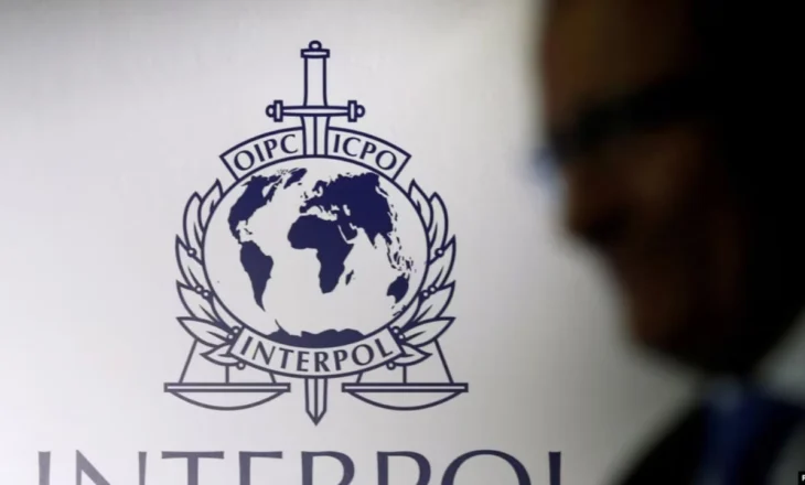 Operacion kundër abuzimit seksual me fëmijë, Interpol arreston 20 persona
