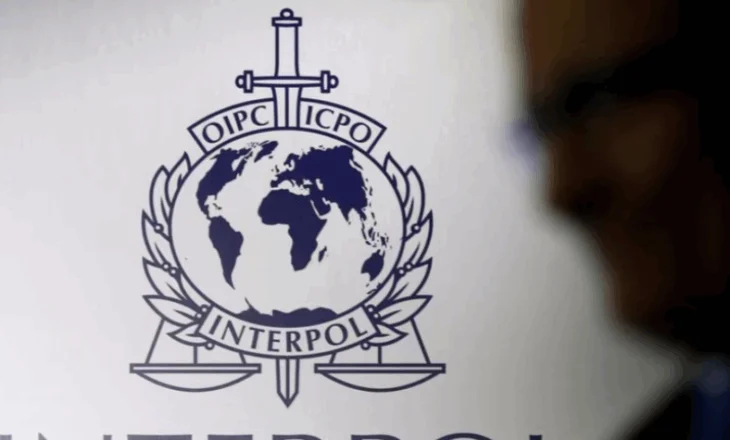 Operacion në 12 shtete, Interpol arreston 20 persona të akuzuar për abuzim me fëmijët