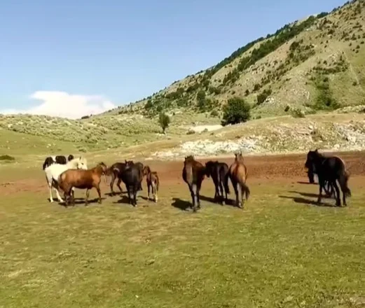 Pamjet fantastike nga malësitë e Tepelenës (VIDEO)