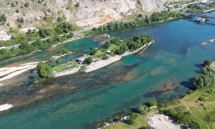 Pastrimi i Dajlanit në lumin Buna, Benet Beci: Po i kthejmë lumit rrjedhën natyrore