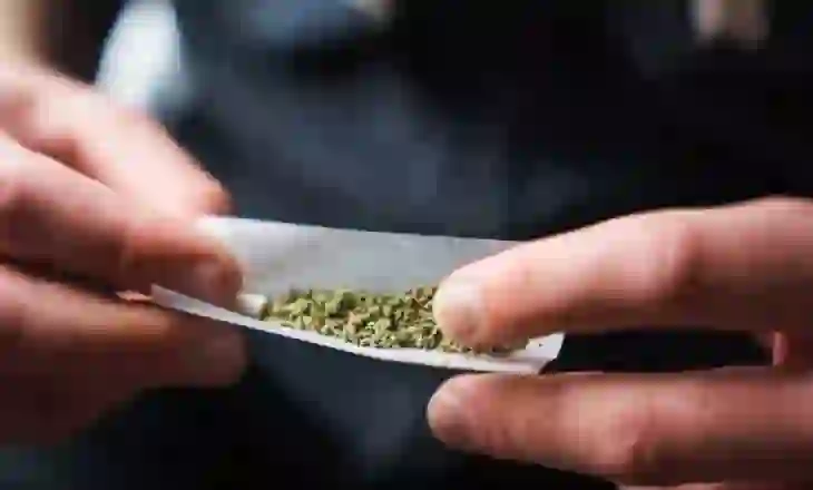 Përdorimi i marijuanës rrit ndjeshëm rrezikun për vdekje nga infarkti dhe goditja në tru