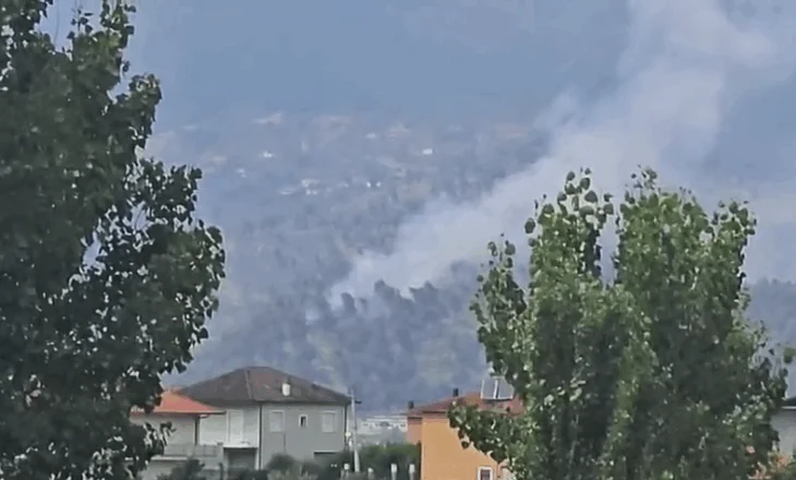 Përfshihet nga flakët Kodra e Krastës në Elbasan