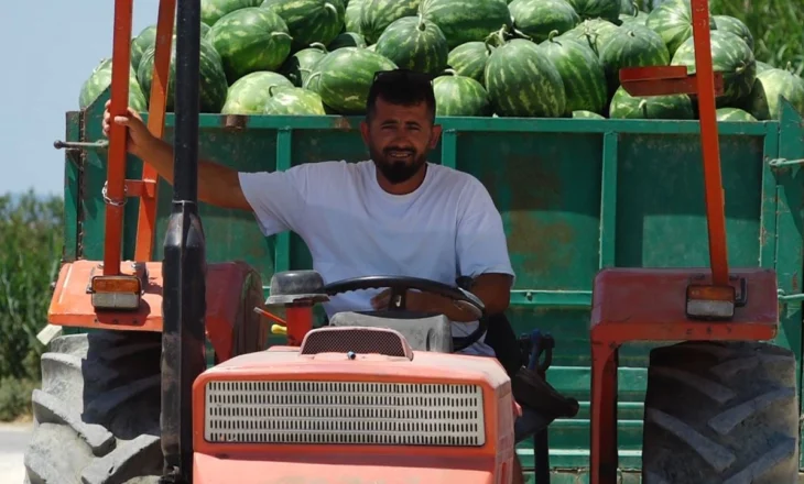 Përse shtrenjtohen frutat? Shumica e fitimit i mbetet tregtarëve, fermerët shesin shumë më lirë në fushë