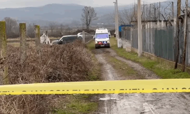 Plagosja me thikë e 23-vjeçarit, zbardhet ngjarja në Tropojë, dy të arrestuar