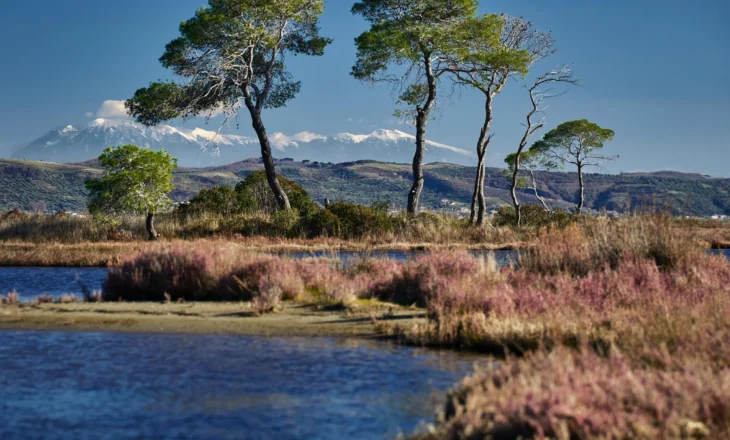 Rama poston foton magjike nga Laguna e Karavastasë