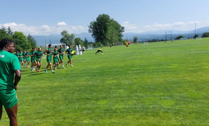 Ritmi i islandezëve, frika e vetme e kampionëve të Shqipërisë në Champions