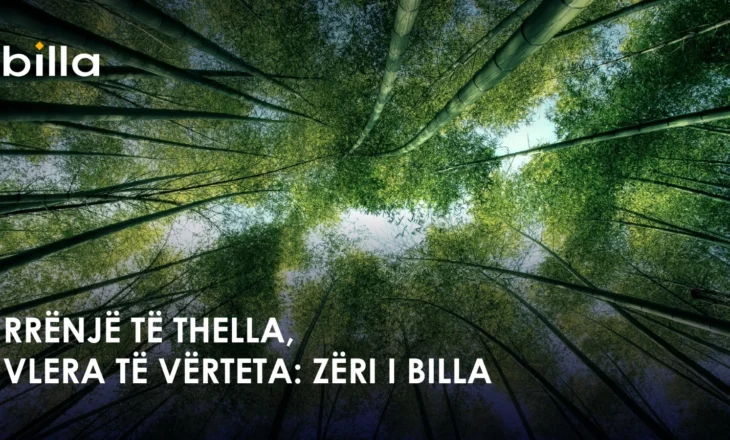 Rrënjë të Thella, Vlera të Vërteta: Zëri i Billa