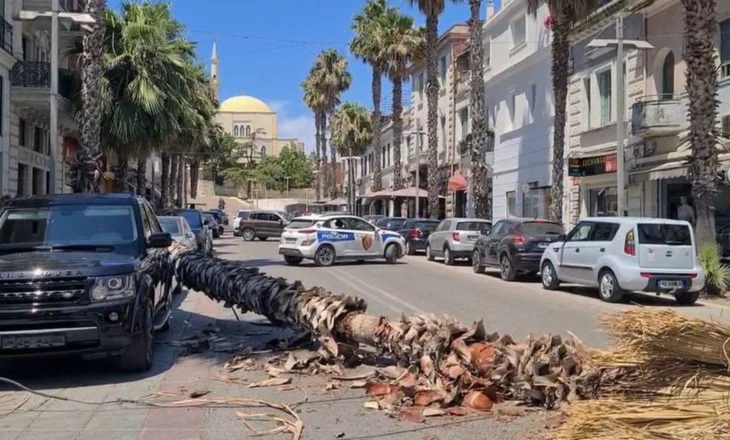 Rrëzohet palma në Durrës, zë poshtë makinat! Rrezikohen kalimtarët