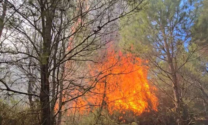 Rritja e temperaturave/ Në gatishmëri për zjarre të mundshme, shtohet kujdesi për këtë qytet
