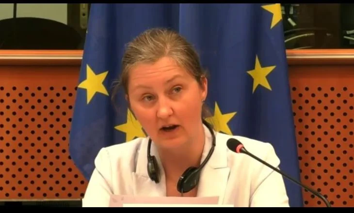 Shefja e Divizionit të BE-së për Ballkanin Perëndimor: Shqipëria pararojë në procesin e integrimit europian! SPAK rol kyç