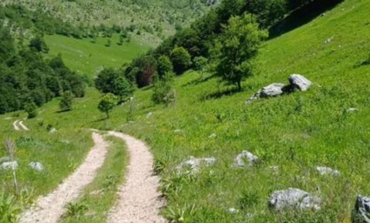Shfaqet murtaja në Bulqizë, ngordhin 150 bagëti në Martanesh
