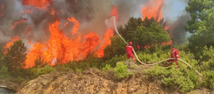 Situata e zjarreve, Ministria e Mbrojtjes jep të dhënat: 18 vatra të shuara në 24 orë