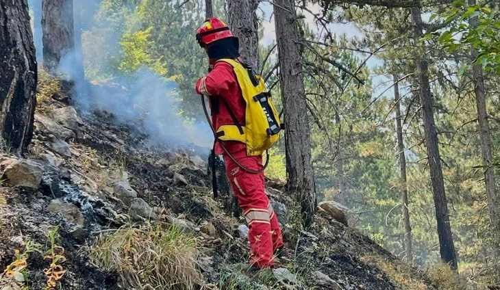 Situata e zjarreve në vend, Ministria e Mbrojtjes: 9 vatra zjarri në 24 orët e fundit