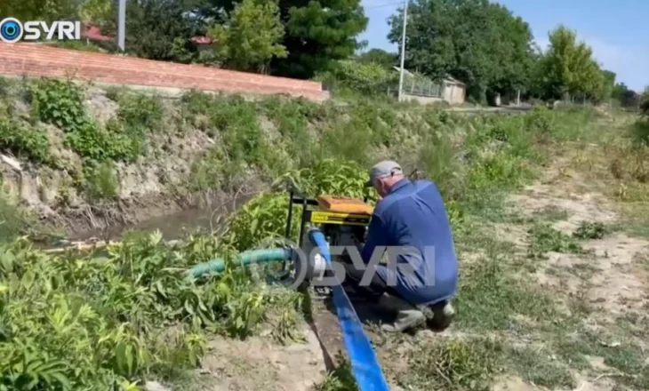 SYRI TV/ Shqipëria pa bujqësi dhe industri! Ekonomia e vendit mbahet nga ‘shërbimet’