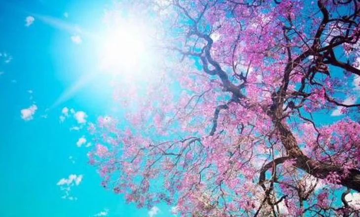 Temperatura të larta dhe orë me diell, parashikimi i motit për sot