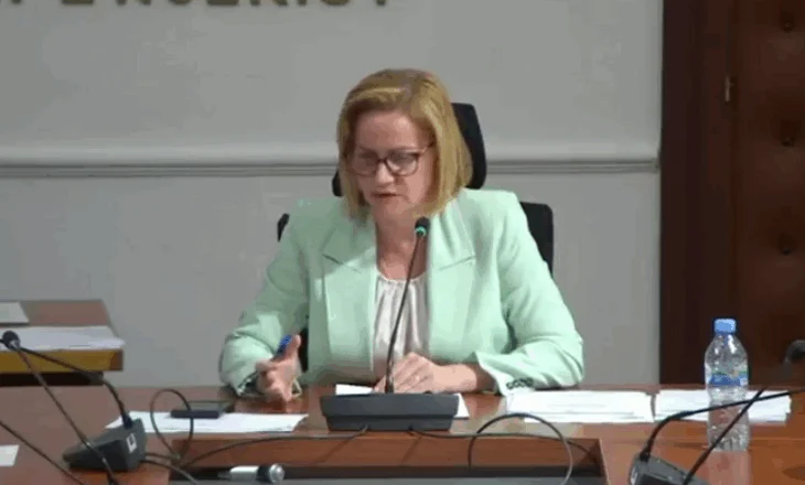Tensione në Komisionin e Ligjeve, Alibeaj dhe Dogjani debat me Bushkën (Video)