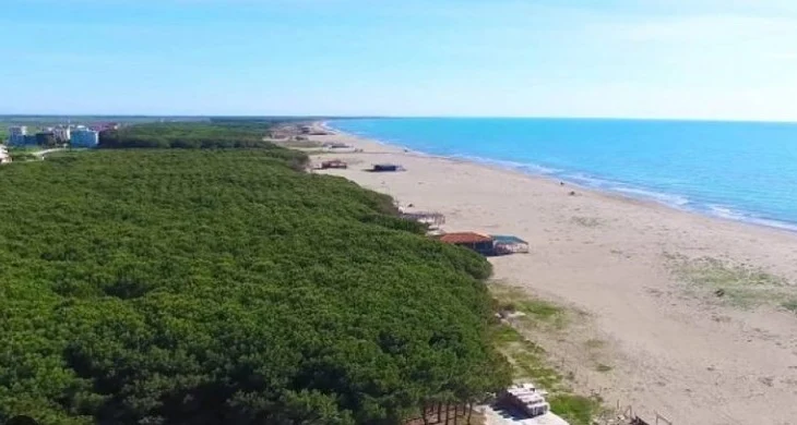 Tjetërsimi i pronave te ‘Rana e Hedhun’, arrestohet topografi i dënuar me 5 vite burg nga Apeli i GJKKO