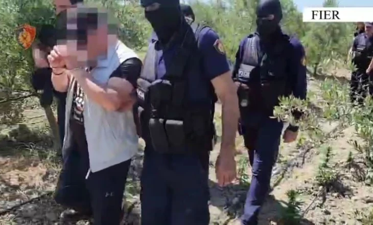 Trafikim armësh dhe droge! Goditet grupi kriminal në Fier, arrestohen 4 persona me rrezikshmëri të lartë