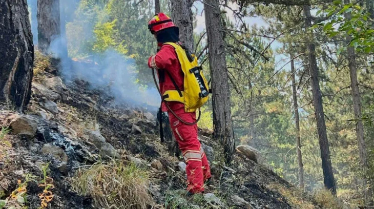 Vendi po digjet, 58 vatra zjarri në 24 orët e fundit, Tirana dhe Fieri zonat më të prekura