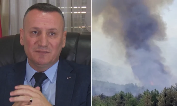 Vera vjen bashkë me zjarret, deri më tani janë regjistruar mbi 250 vatra, thuajse të gjitha të qëllimshme