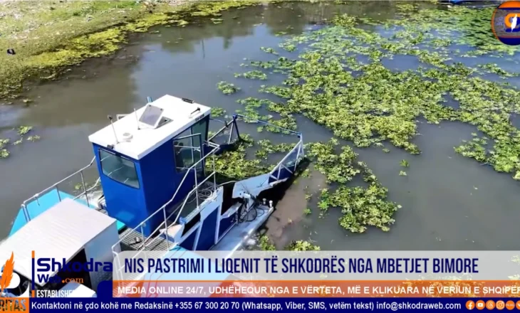 VIDEO – Nis pastrimi i liqenit të Shkodrës nga mbetjet bimore, kryebashkiaku Beci publikon pamjet…