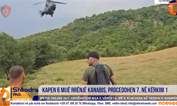 VIDEO – Policia e Shkodrës kap 6 mijë rrënjë kanabis, procedohen 7 persona, shpallet në kërkim 32- vjeçari