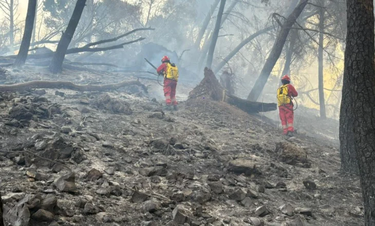 Vihet nën kontroll zjarri në malin e Krastës në Elbasan
