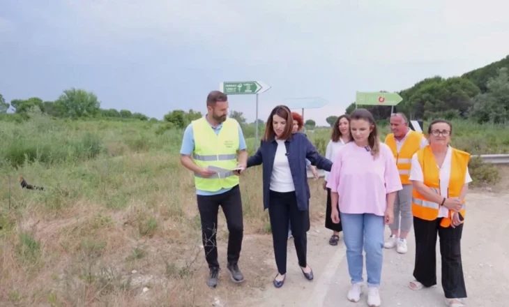 Vijon dezinsektimi në zonën turistike të Lalëzit